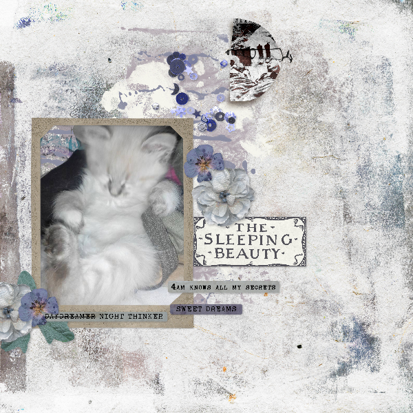 dreamscapes