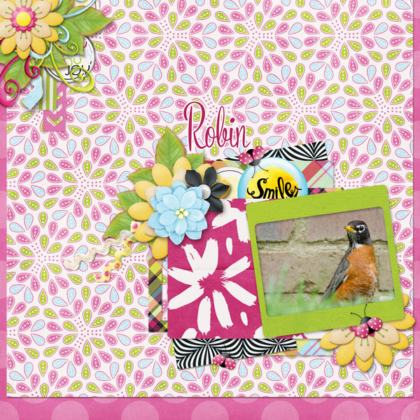Dress the Template INSD Challenge