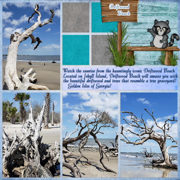 Driftwood Beach