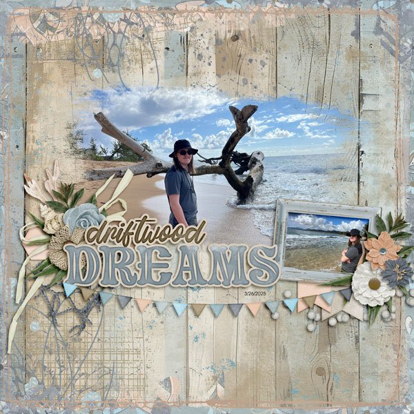 Driftwood-Dreams.jpg