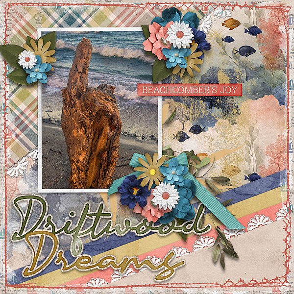 Driftwood Dreams