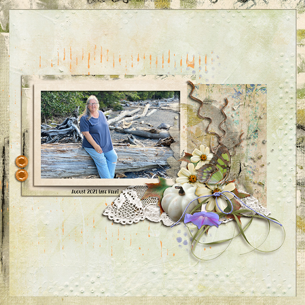 Driftwood