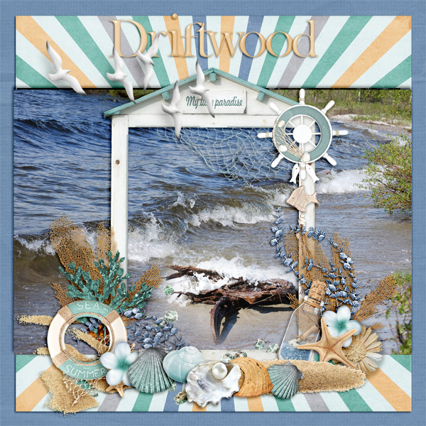 Driftwood1