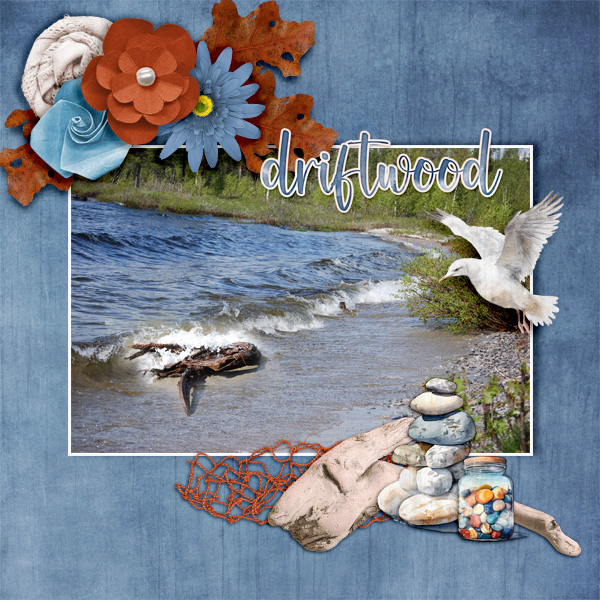 Driftwood3