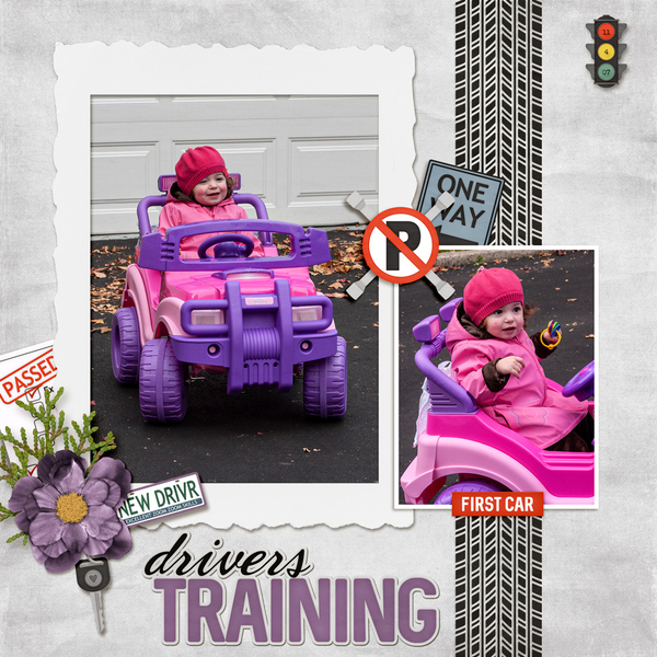 Drivers Training