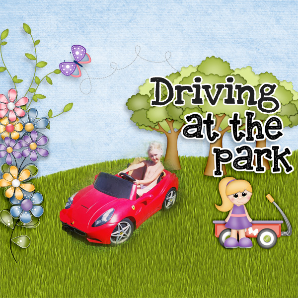Driving-at-the-park