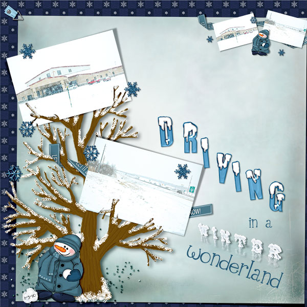 Driving in a winter wonderland