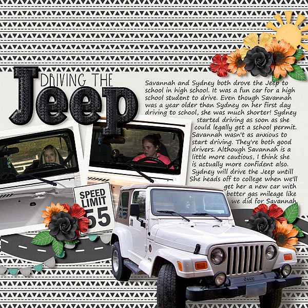 Driving The Jeep