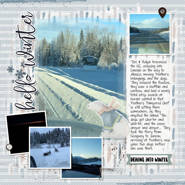 driving with winter