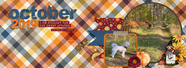 DSD-19 FB Timeline cover template challenge