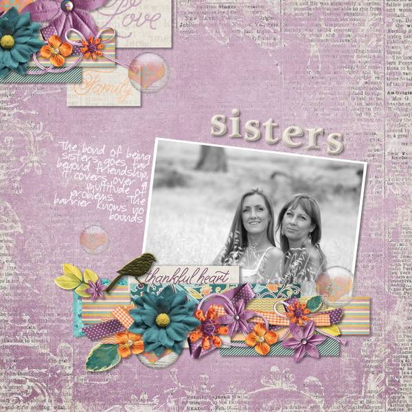 DSD - 2013 Grab Bag Bundle from Bekah E Designs