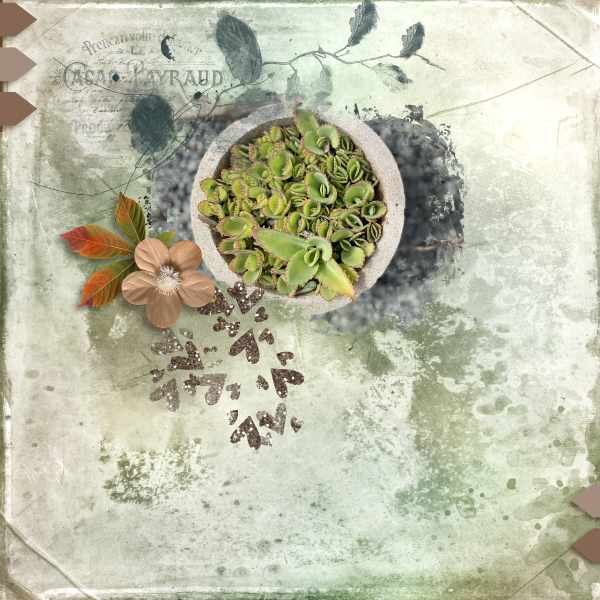 DSD 2022 Mini Kit Challenge with CarolW