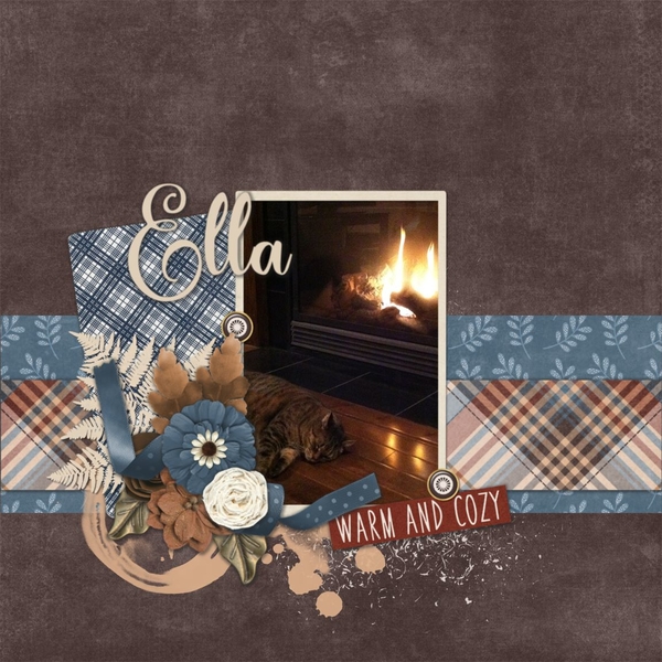 DSD FWP - Cozy Time