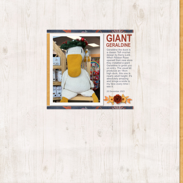 DSD Minikit Challenge: Geraldine