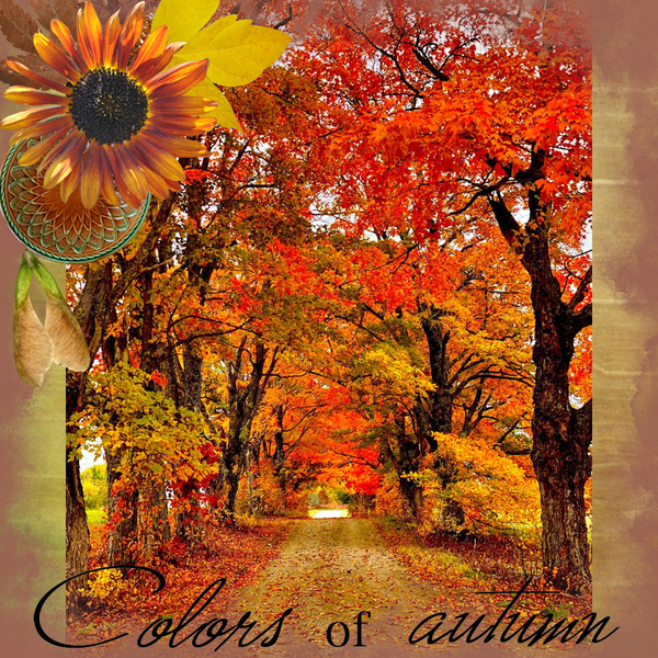 DSD PrelP Decorate Borders Challenge