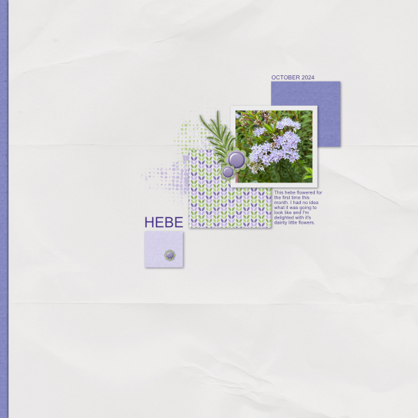 DSD White Space: Hebe