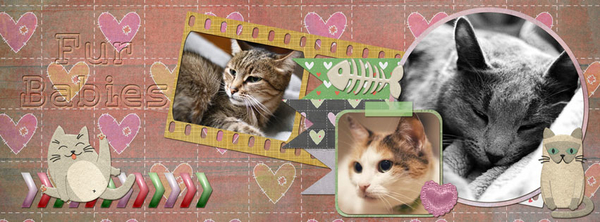 DSD19_FB_timeline