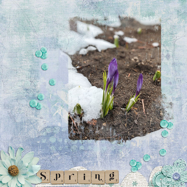 DSS-AprilDay9-balance