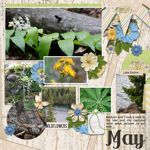 dt-hello2018may-temp3web
