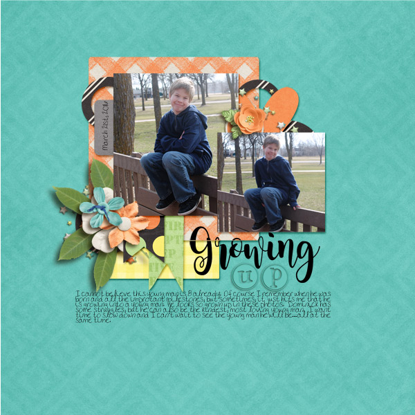 DT_FallingInLove--LRT-step-up-06012016