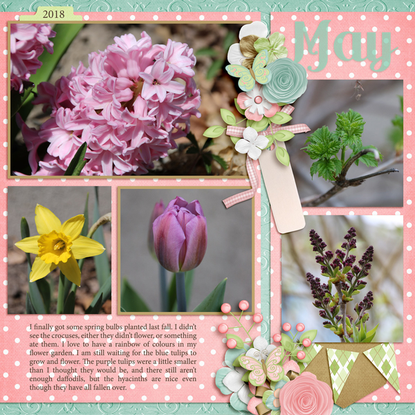 dt_hello2018May_kelly