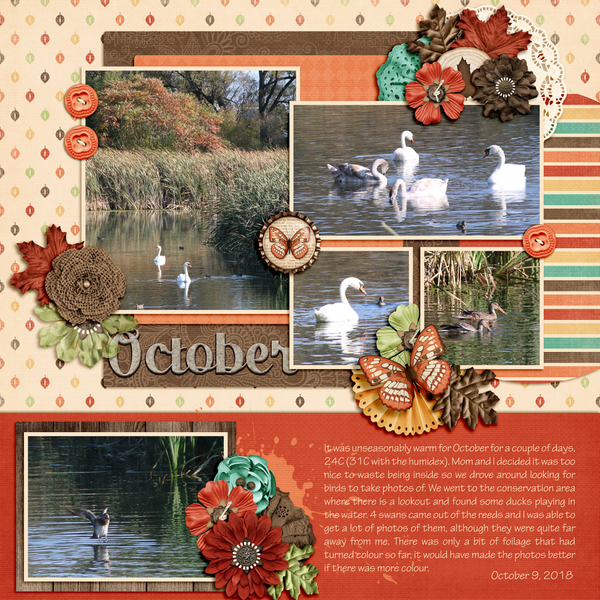 dt_hello2018october_kelly