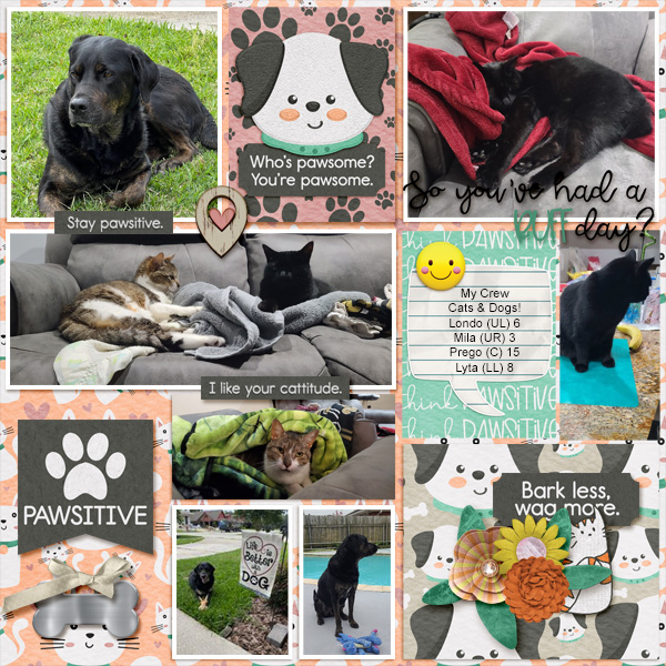 DT_ThinkPawsitivity