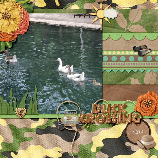 Duck Crossing