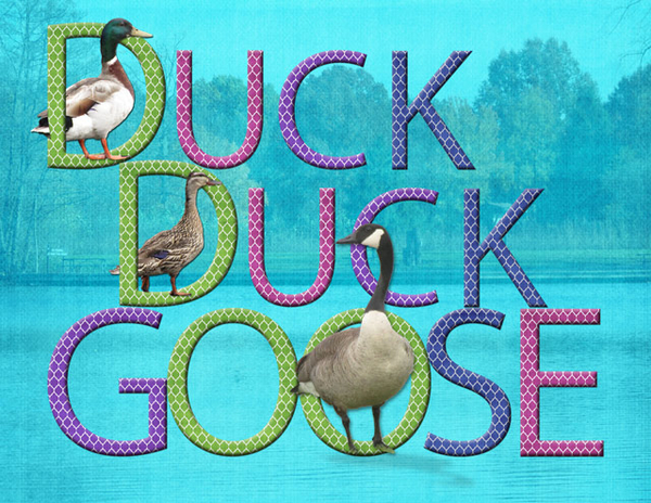 Duck, Duck, Goose