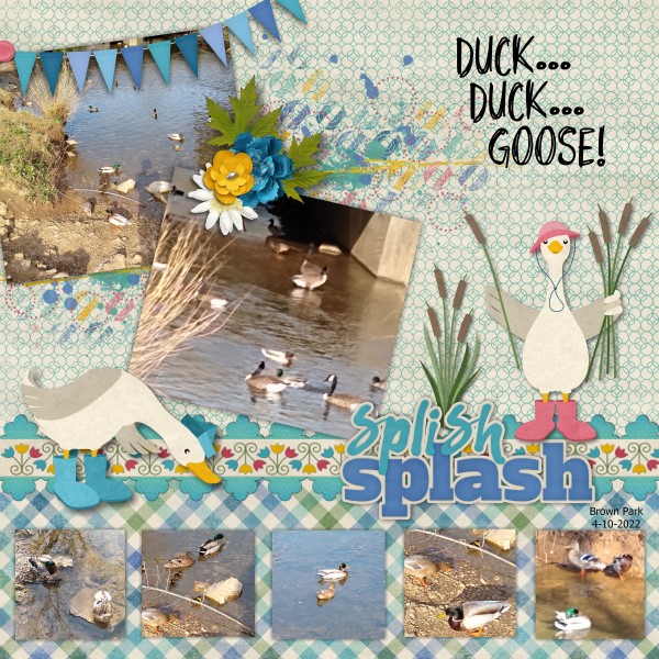Duck Duck Goose