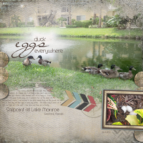 Duck Eggs Everywhere