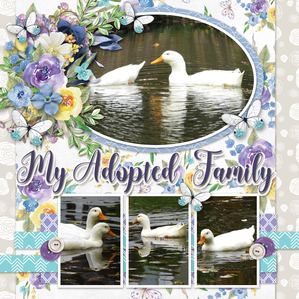 Duck family
