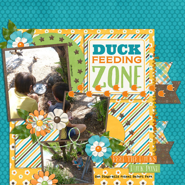 duck feeding zone