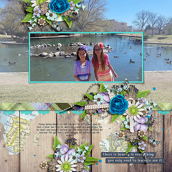 Duck Pond
