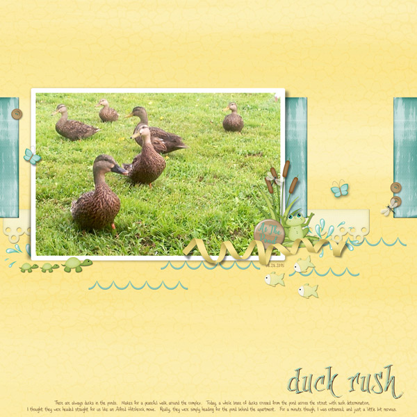 Duck Rush