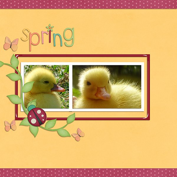 Duckling