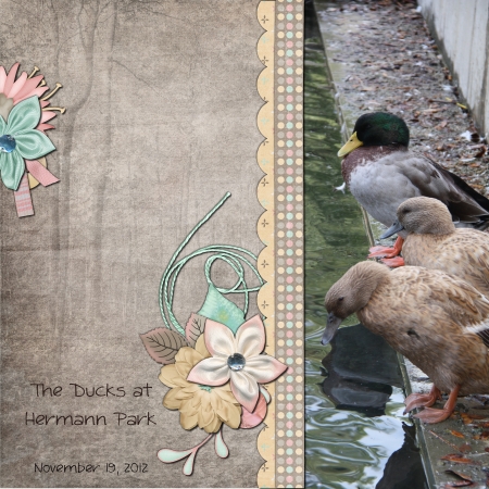 Ducks at Hermann Park