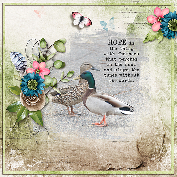 Ducks-copy