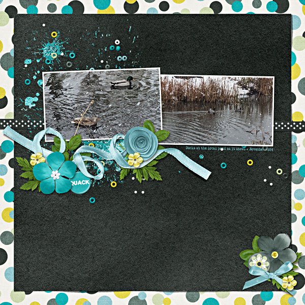 Ducks in the Pond