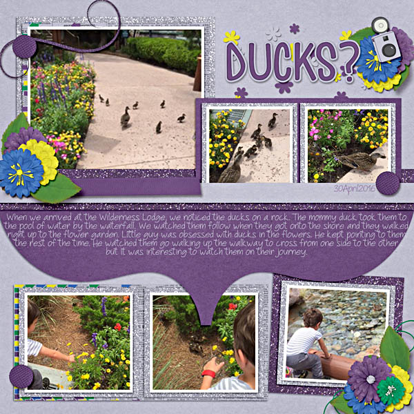 Ducks