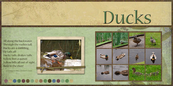 Ducks