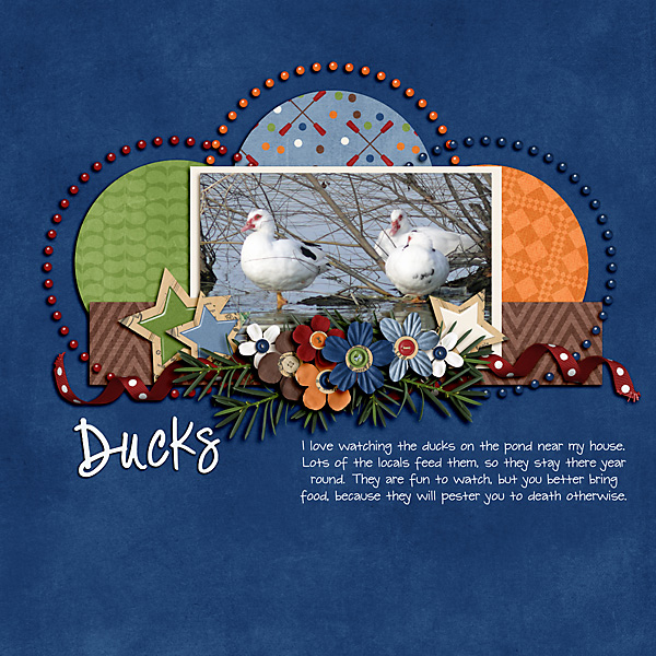 Ducks