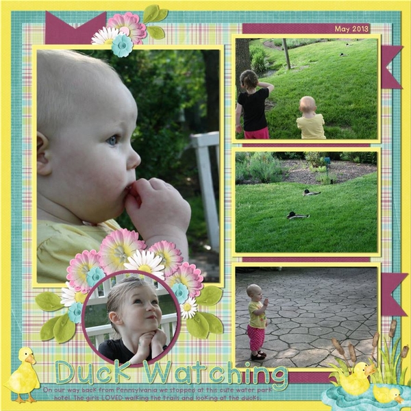 Ducks