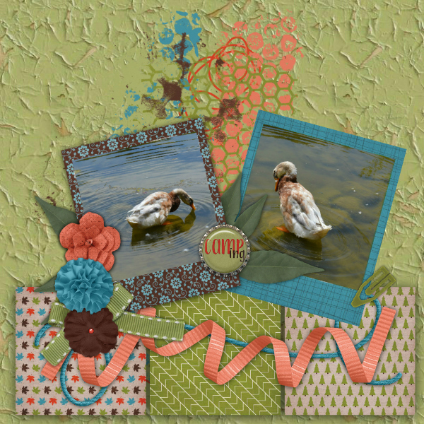 Ducks4