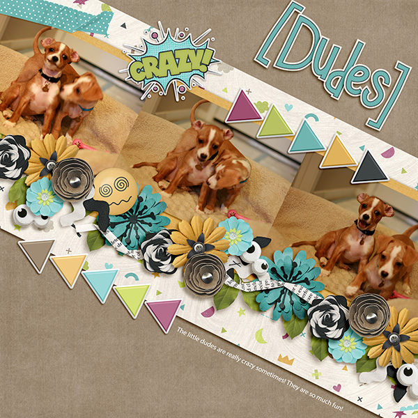 Dudes