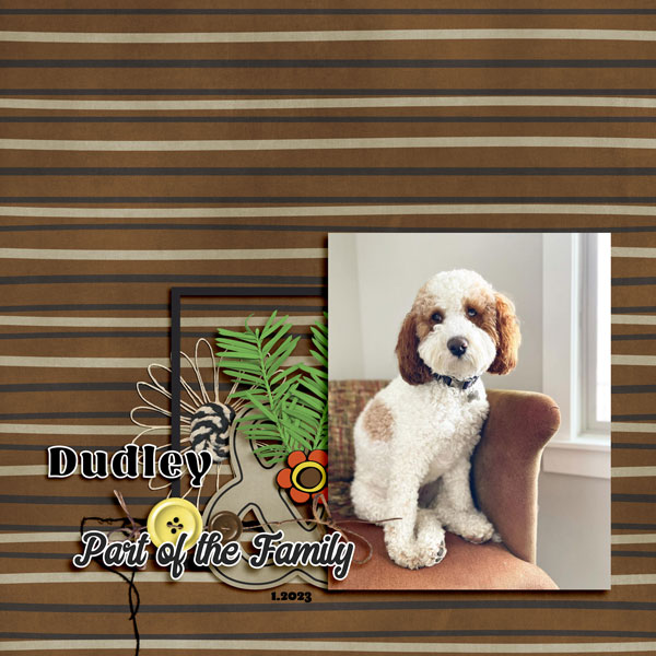 Dudley