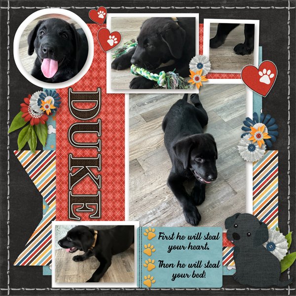 Duke