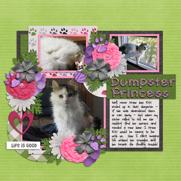 Dumpster Princess
