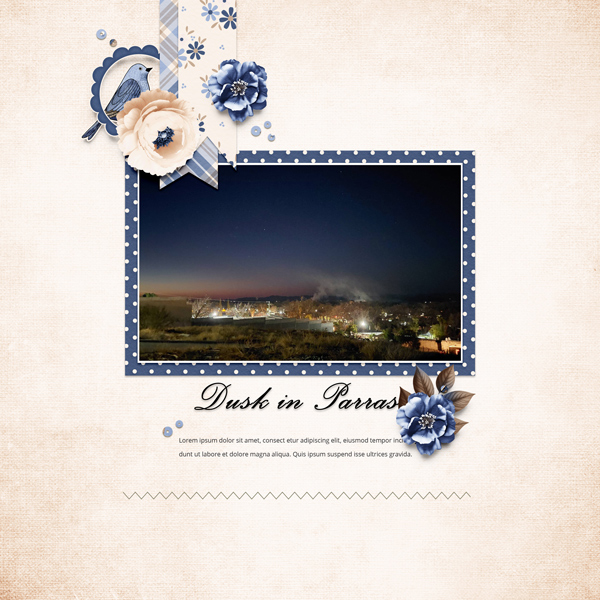 Dusk in Parras