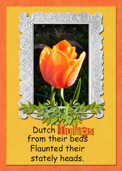 Dutch Tulips
